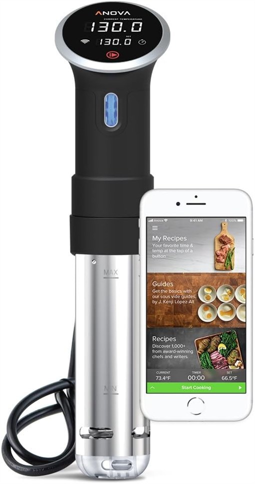 Anova Culinary Sous Vide Precision Cooker: Is This Discontinued Gadget Still Worth It?