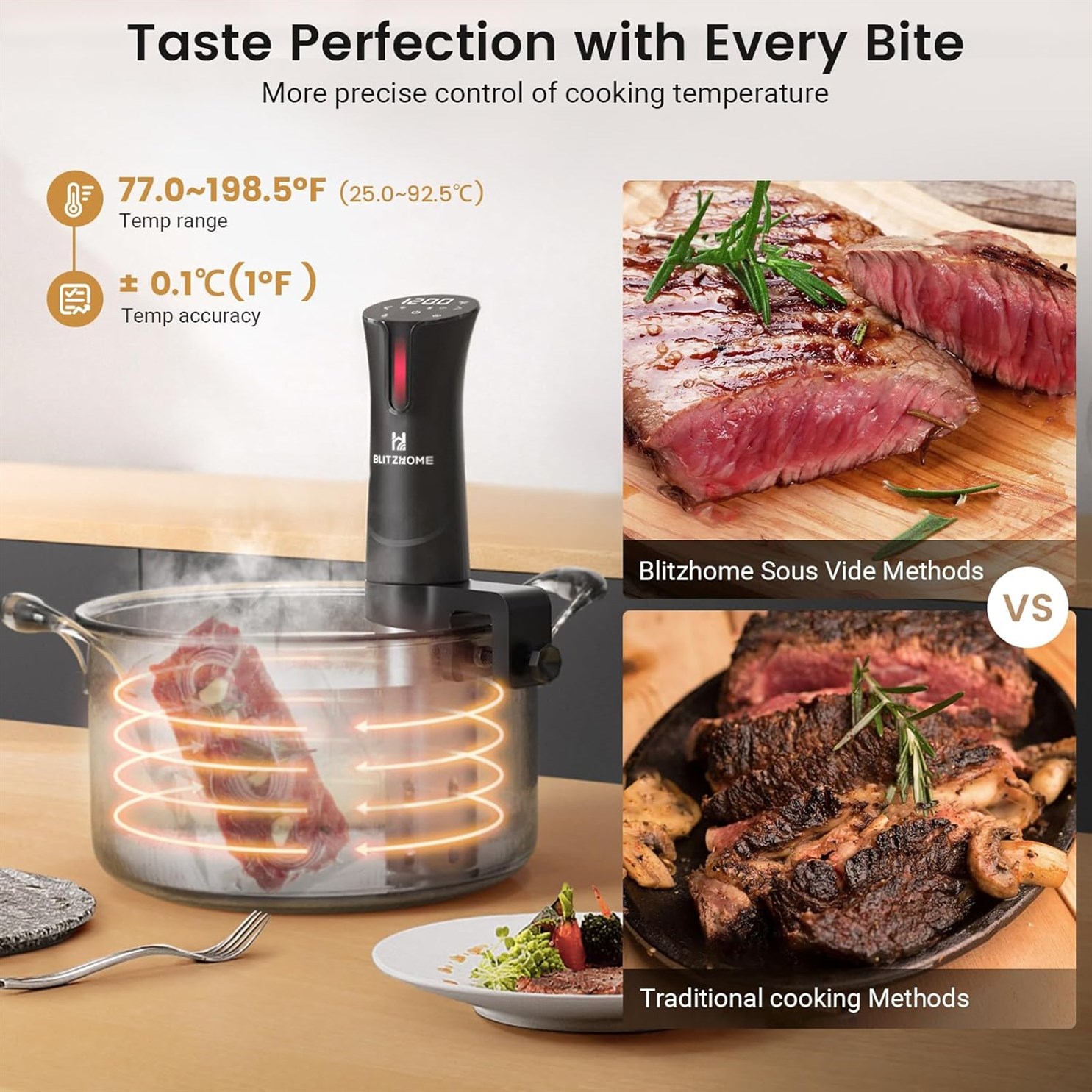 BLITZHOME Temperature Stainless Precision Circulator
