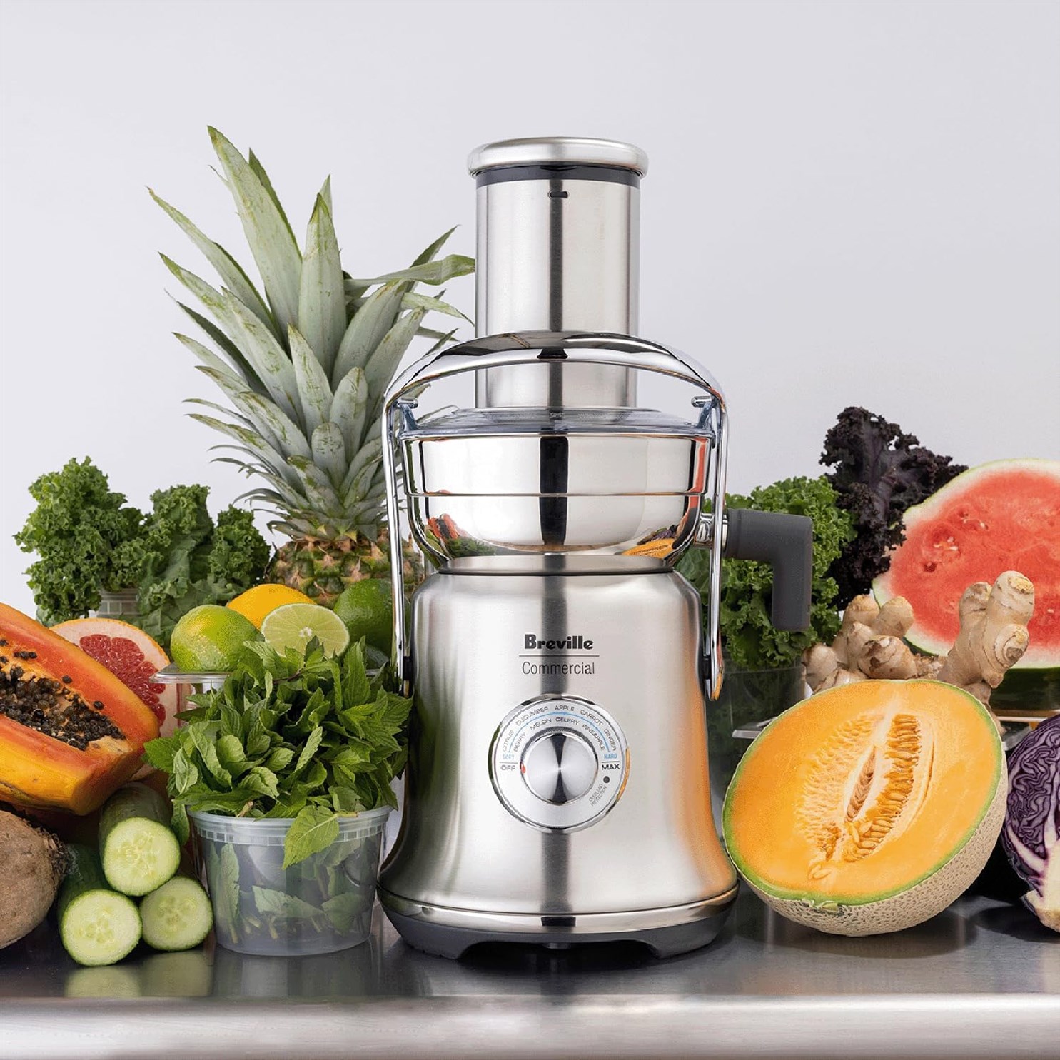 Breville Commercial Fountain Stainless CJE830BSS1BNA1