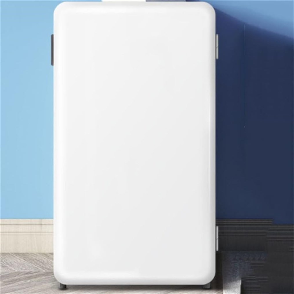 CGTENBS Refrigerator Special Compact Capacity