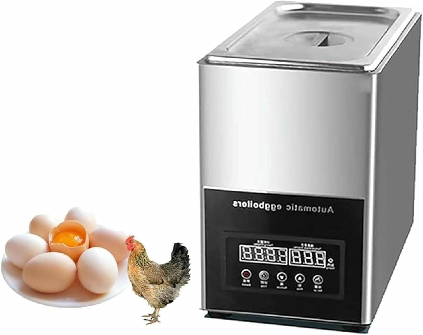 Wzglod 800W Commercial Electric Egg Cooker: My Quest for the Perfect Hot Spring Egg! Wzglod 800W Commercial Electric Egg Cooker: My Quest for the Perfect Hot Spring Egg!
