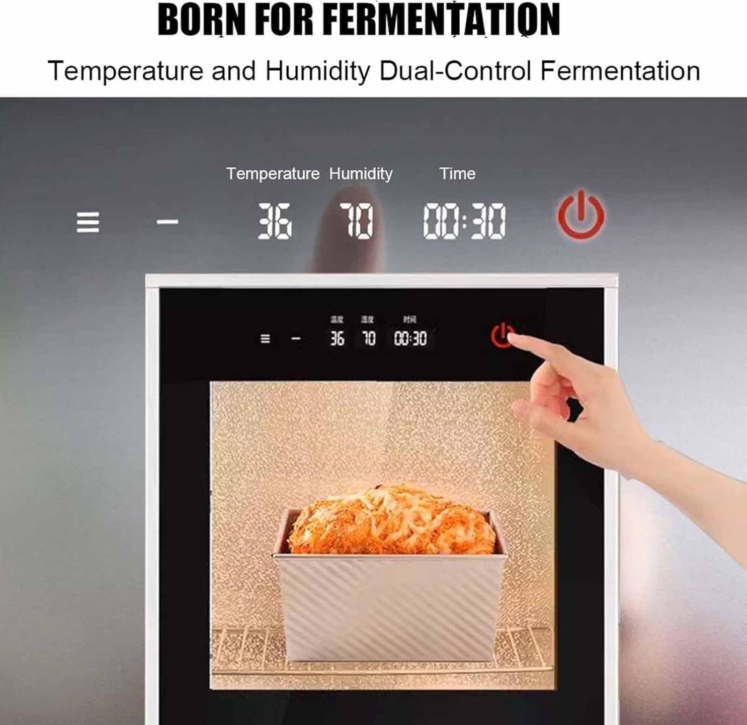 Compact Electric Proofer Humidity Temperature