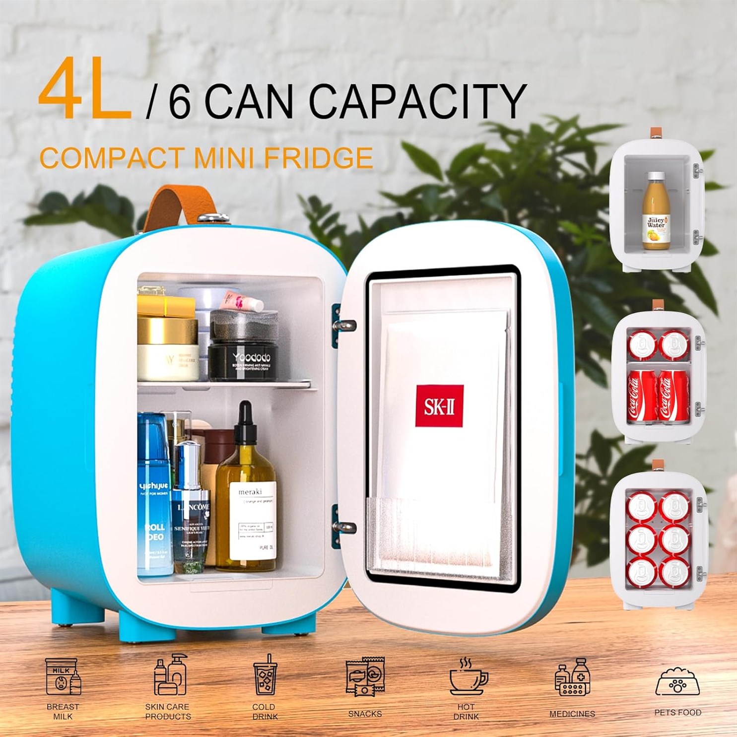 Hansburg Bedroom Skincare Portable Refrigerator