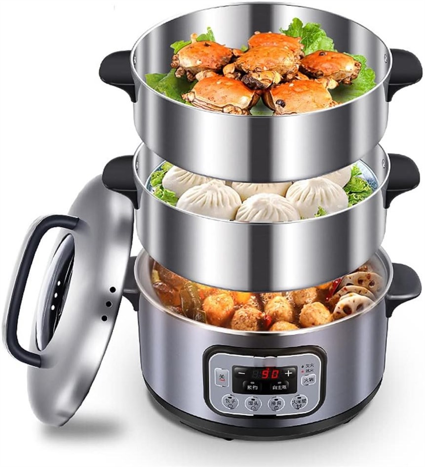 JOQWJPOIJ Electric Steamer: A Promising Steamer with a Few Unknowns