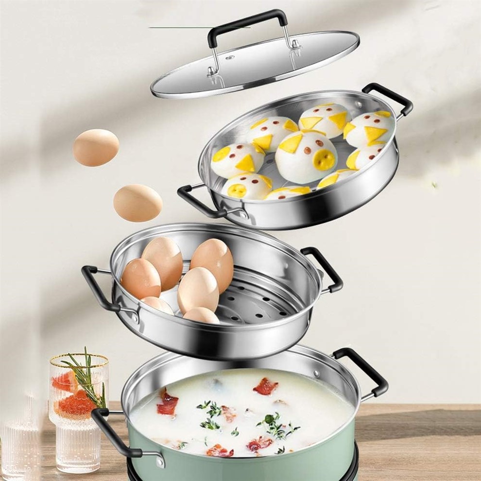 JOQWJPOIJ Electric Steamer Multifunctional Capacity