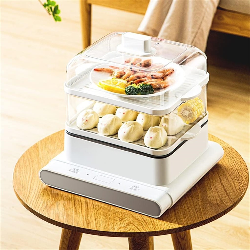 JOQWJPOIJ Electric Steamer: Promising Features, But a Few Caveats