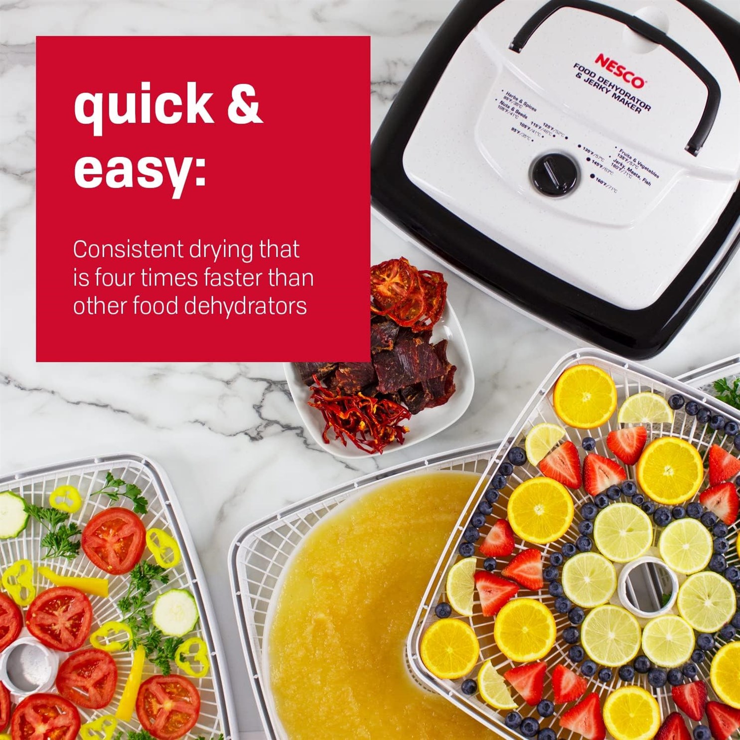 Nesco American FD 80 Square Shaped Dehydrator