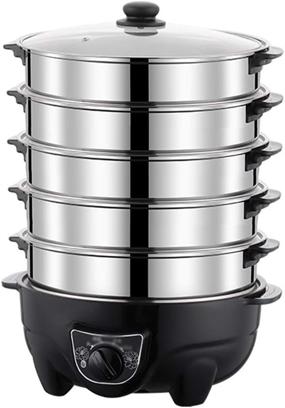 PNAWLLCF Electric Steamer: Is This Multi-Layer Marvel Worth the Hype?