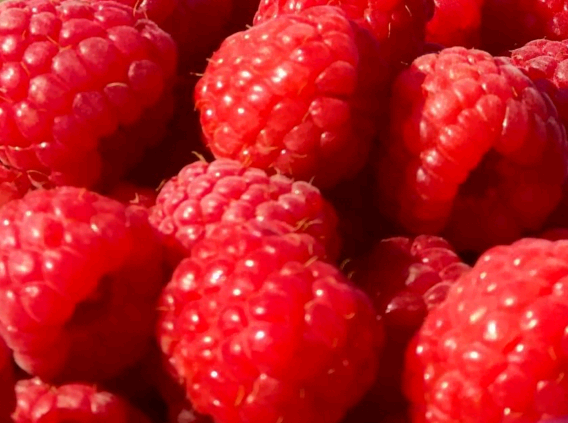 Wineberries